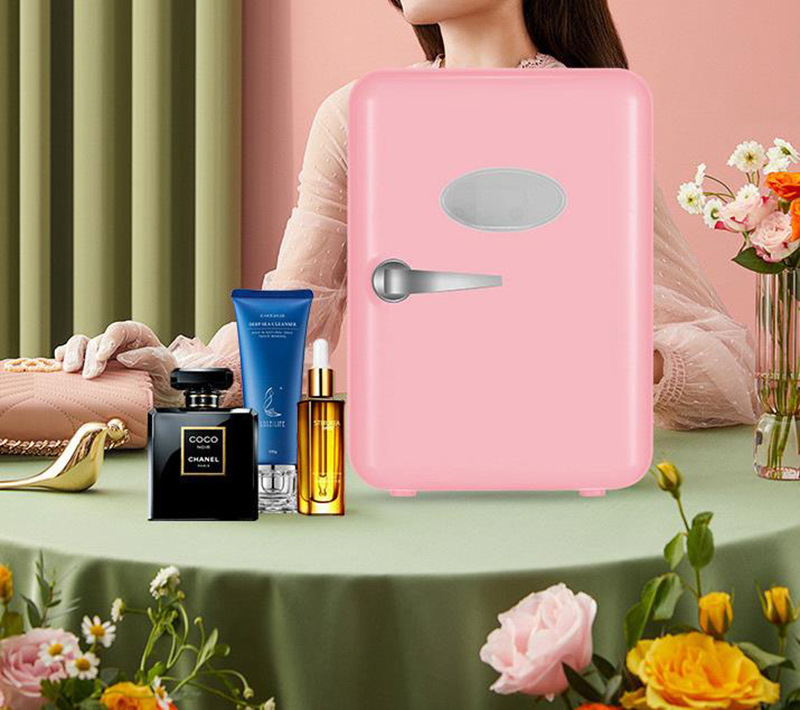 Çift Kullanımlı 4L Ev ve Araba - Beauty Makeup Fridge incelemesi ve fiyatı